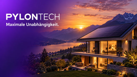 Pylontech