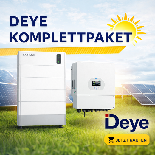 DEYE Komplettpaket
