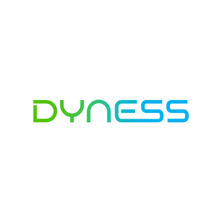 Dyness